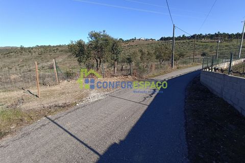 Helårsgrund i Castelo Branco, Castelo Branco, Castelo Branco - € 75.000 | Ref: 22010 - foto 23