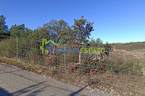 Helårsgrund i Castelo Branco, Castelo Branco, Castelo Branco - € 75.000 | Ref: 22010 - foto 24