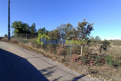 Helårsgrund i Castelo Branco, Castelo Branco, Castelo Branco - € 75.000 | Ref: 22010 - foto 25