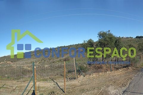 Helårsgrund i Castelo Branco, Castelo Branco, Castelo Branco - € 75.000 | Ref: 22010 - foto 26