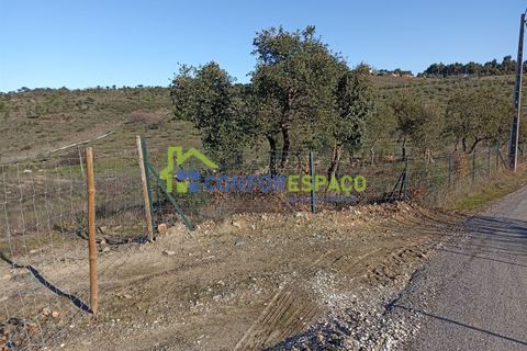 Helårsgrund i Castelo Branco, Castelo Branco, Castelo Branco - € 75.000 | Ref: 22010 - foto 27
