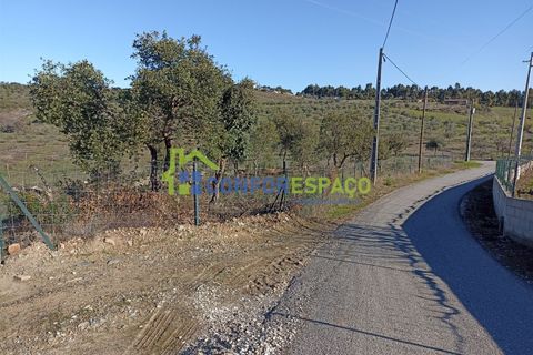 Helårsgrund i Castelo Branco, Castelo Branco, Castelo Branco - € 75.000 | Ref: 22010 - foto 28