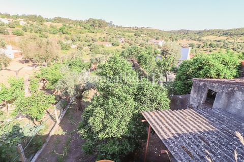 Villa i Arez e Amieira do Tejo, Portalegre, Arez e Amieira do Tejo - € 89.000 | Ref: MP540 - foto 19