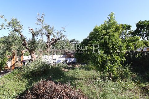 Villa i Arez e Amieira do Tejo, Portalegre, Arez e Amieira do Tejo - € 89.000 | Ref: MP540 - foto 29