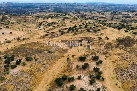 Terra a Rosmaninhal, Castelo Branco, Rosmaninhal - € 80.000 | Ref: IM951-B - foto 2