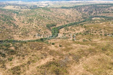 Terra a Rosmaninhal, Castelo Branco, Rosmaninhal - € 80.000 | Ref: IM951-B - foto 3