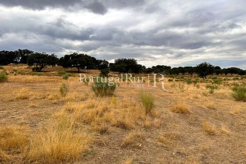 Terra a Rosmaninhal, Castelo Branco, Rosmaninhal - € 80.000 | Ref: IM951-B - foto 4