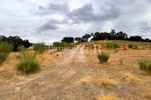 Terra a Rosmaninhal, Castelo Branco, Rosmaninhal - € 80.000 | Ref: IM951-B - foto 5