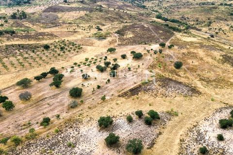 Terra a Rosmaninhal, Castelo Branco, Rosmaninhal - € 80.000 | Ref: IM951-B - foto 6