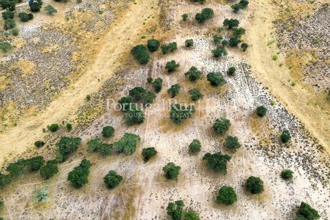Terra a Rosmaninhal, Castelo Branco, Rosmaninhal - € 80.000 | Ref: IM951-B - foto 7