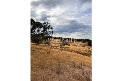 Terra a Rosmaninhal, Castelo Branco, Rosmaninhal - € 80.000 | Ref: IM951-B - foto 10
