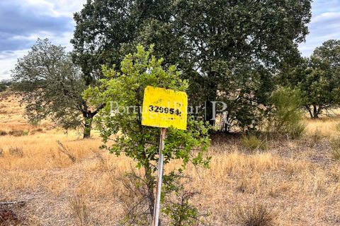 Terra a Rosmaninhal, Castelo Branco, Rosmaninhal - € 80.000 | Ref: IM951-B - foto 13