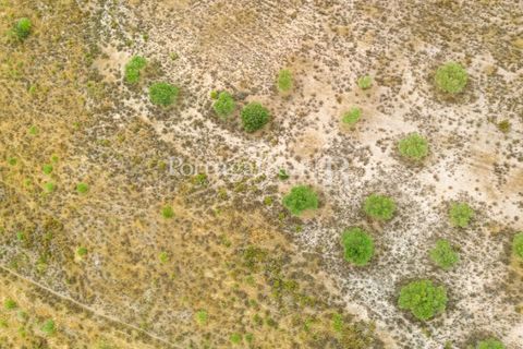 Terra a Rosmaninhal, Castelo Branco, Rosmaninhal - € 80.000 | Ref: IM951-B - foto 14