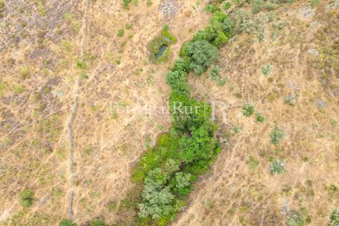 Terra a Rosmaninhal, Castelo Branco, Rosmaninhal - € 80.000 | Ref: IM951-B - foto 16