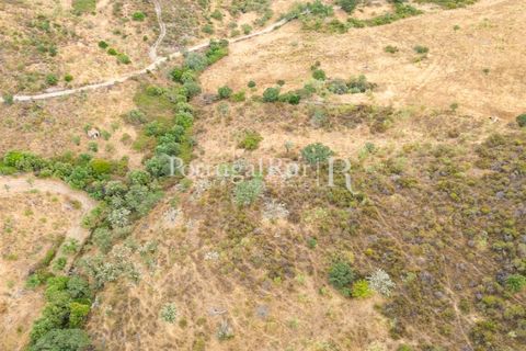 Terra a Rosmaninhal, Castelo Branco, Rosmaninhal - € 80.000 | Ref: IM951-B - foto 17