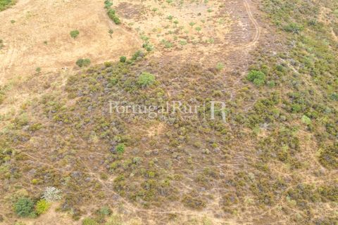 Terra a Rosmaninhal, Castelo Branco, Rosmaninhal - € 80.000 | Ref: IM951-B - foto 18