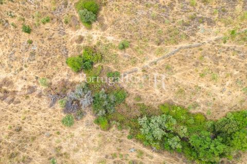 Terra a Rosmaninhal, Castelo Branco, Rosmaninhal - € 80.000 | Ref: IM951-B - foto 19