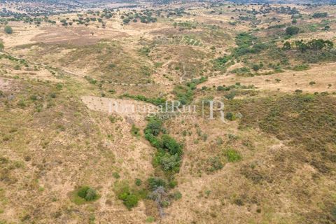 Terra a Rosmaninhal, Castelo Branco, Rosmaninhal - € 80.000 | Ref: IM951-B - foto 20
