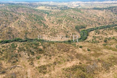 Terra a Rosmaninhal, Castelo Branco, Rosmaninhal - € 80.000 | Ref: IM951-B - foto 21
