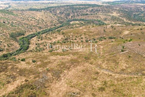 Terra a Rosmaninhal, Castelo Branco, Rosmaninhal - € 80.000 | Ref: IM951-B - foto 22