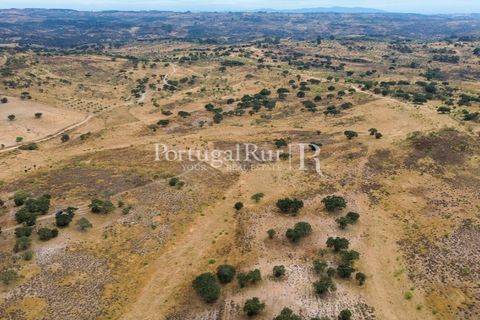 Terra a Rosmaninhal, Castelo Branco, Rosmaninhal - € 80.000 | Ref: IM951-B - foto 23