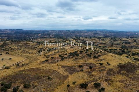 Terra a Rosmaninhal, Castelo Branco, Rosmaninhal - € 80.000 | Ref: IM951-B - foto 24