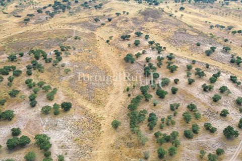Terra a Rosmaninhal, Castelo Branco, Rosmaninhal - € 80.000 | Ref: IM951-B - foto 28