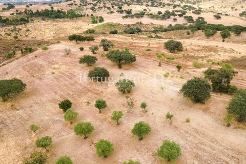 Terra a Rosmaninhal, Castelo Branco, Rosmaninhal - € 80.000 | Ref: IM951-B - foto 30