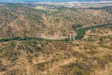 Helårsgrund i Rosmaninhal, Castelo Branco, Rosmaninhal - € 137.000 | Ref: IM951-A - foto 2