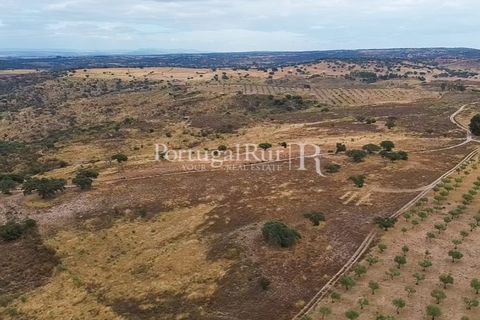 Helårsgrund i Rosmaninhal, Castelo Branco, Rosmaninhal - € 137.000 | Ref: IM951-A - foto 3