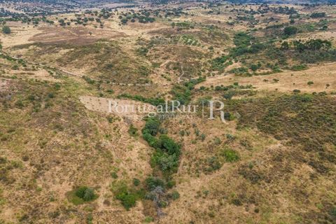 Helårsgrund i Rosmaninhal, Castelo Branco, Rosmaninhal - € 137.000 | Ref: IM951-A - foto 4