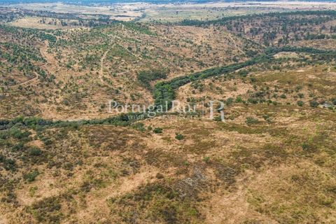 Helårsgrund i Rosmaninhal, Castelo Branco, Rosmaninhal - € 137.000 | Ref: IM951-A - foto 5