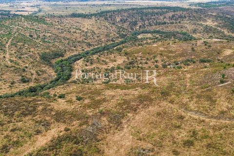 Helårsgrund i Rosmaninhal, Castelo Branco, Rosmaninhal - € 137.000 | Ref: IM951-A - foto 6