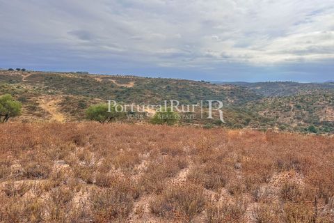 Helårsgrund i Rosmaninhal, Castelo Branco, Rosmaninhal - € 137.000 | Ref: IM951-A - foto 7