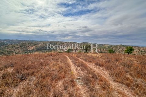 Helårsgrund i Rosmaninhal, Castelo Branco, Rosmaninhal - € 137.000 | Ref: IM951-A - foto 8