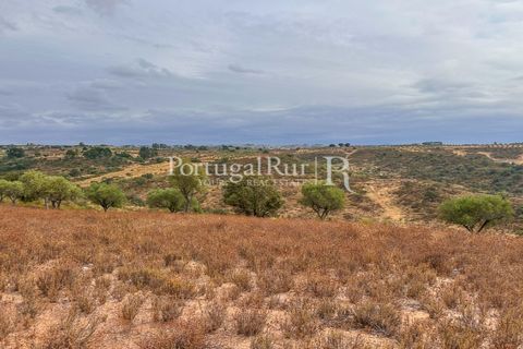 Helårsgrund i Rosmaninhal, Castelo Branco, Rosmaninhal - € 137.000 | Ref: IM951-A - foto 9