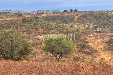 Helårsgrund i Rosmaninhal, Castelo Branco, Rosmaninhal - € 137.000 | Ref: IM951-A - foto 10