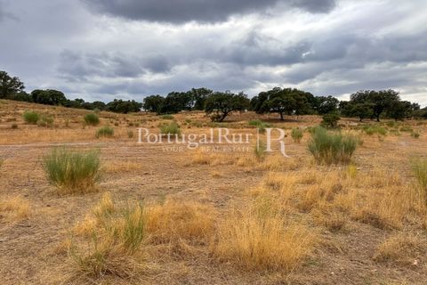 Helårsgrund i Rosmaninhal, Castelo Branco, Rosmaninhal - € 137.000 | Ref: IM951-A - foto 11
