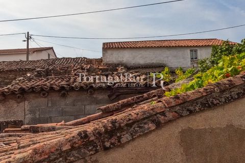 Villa a Rosmaninhal, Castelo Branco, Rosmaninhal - € 20.000 | Ref: IM951-C - foto 19