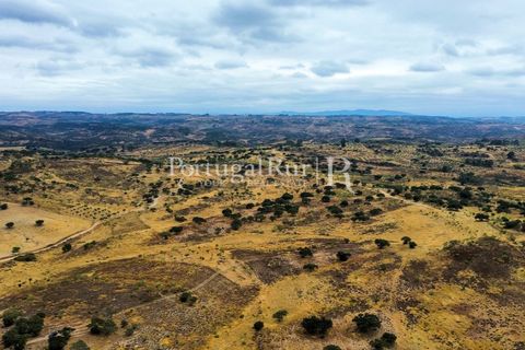Farm i Rosmaninhal, Castelo Branco, Rosmaninhal - € 237.000 | Ref: IM951 - foto 2