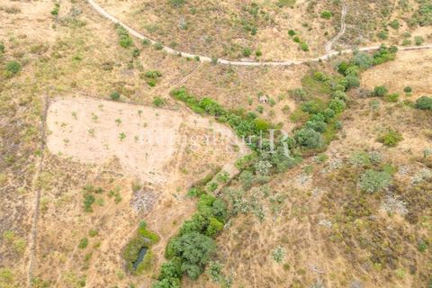 Farm i Rosmaninhal, Castelo Branco, Rosmaninhal - € 237.000 | Ref: IM951 - foto 19