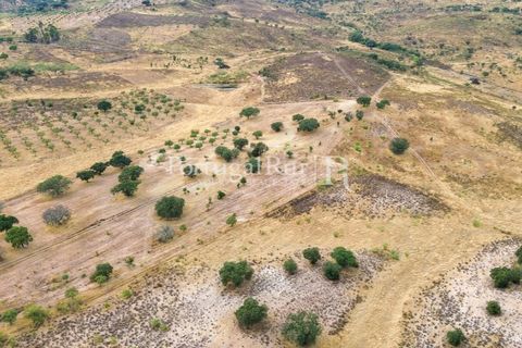Farm i Rosmaninhal, Castelo Branco, Rosmaninhal - € 237.000 | Ref: IM951 - foto 21