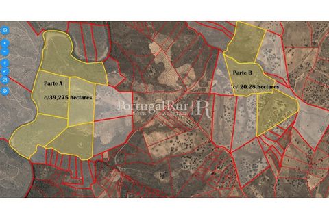 Farm i Rosmaninhal, Castelo Branco, Rosmaninhal - € 237.000 | Ref: IM951 - foto 24
