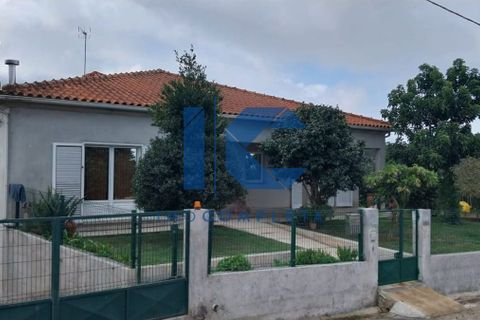 Villa i Agueda, Aveiro, Agueda - € 420.000 | Ref: 20250901101 - foto 1
