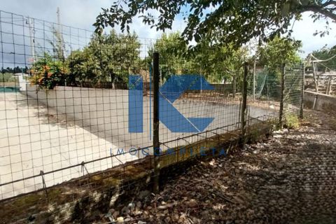 Villa i Agueda, Aveiro, Agueda - € 420.000 | Ref: 20250901101 - foto 25