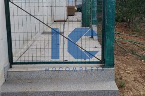 Villa i Agueda, Aveiro, Agueda - € 420.000 | Ref: 20250901101 - foto 38