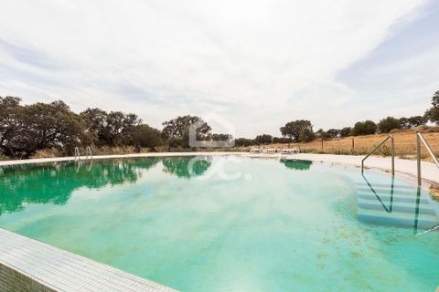 Farm i Elvas, Portalegre, Elvas - € 750.000 | Ref: 318/Q/03672 - foto 5