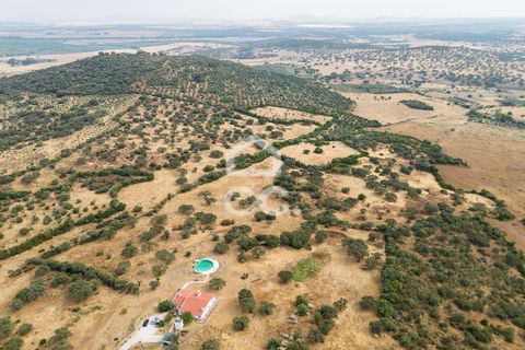 Farm i Elvas, Portalegre, Elvas - € 750.000 | Ref: 318/Q/03672 - foto 8