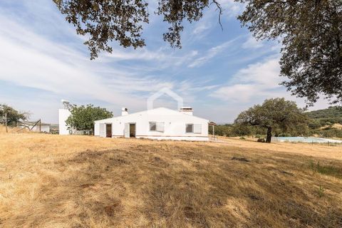 Farm i Elvas, Portalegre, Elvas - € 750.000 | Ref: 318/Q/03672 - foto 35