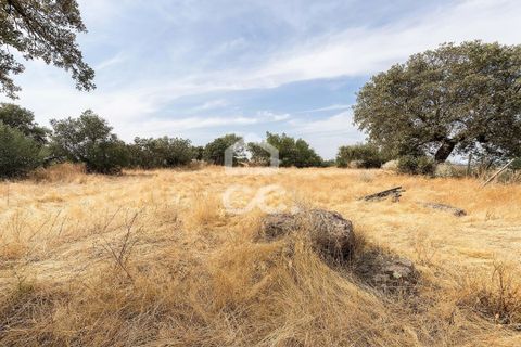 Farm i Elvas, Portalegre, Elvas - € 750.000 | Ref: 318/Q/03672 - foto 38